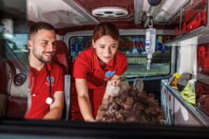 Sanitetski prevoz pacijenata Beograd - Safe Medic